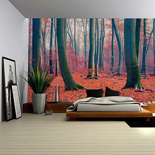 Orange Leaf Covered Forest