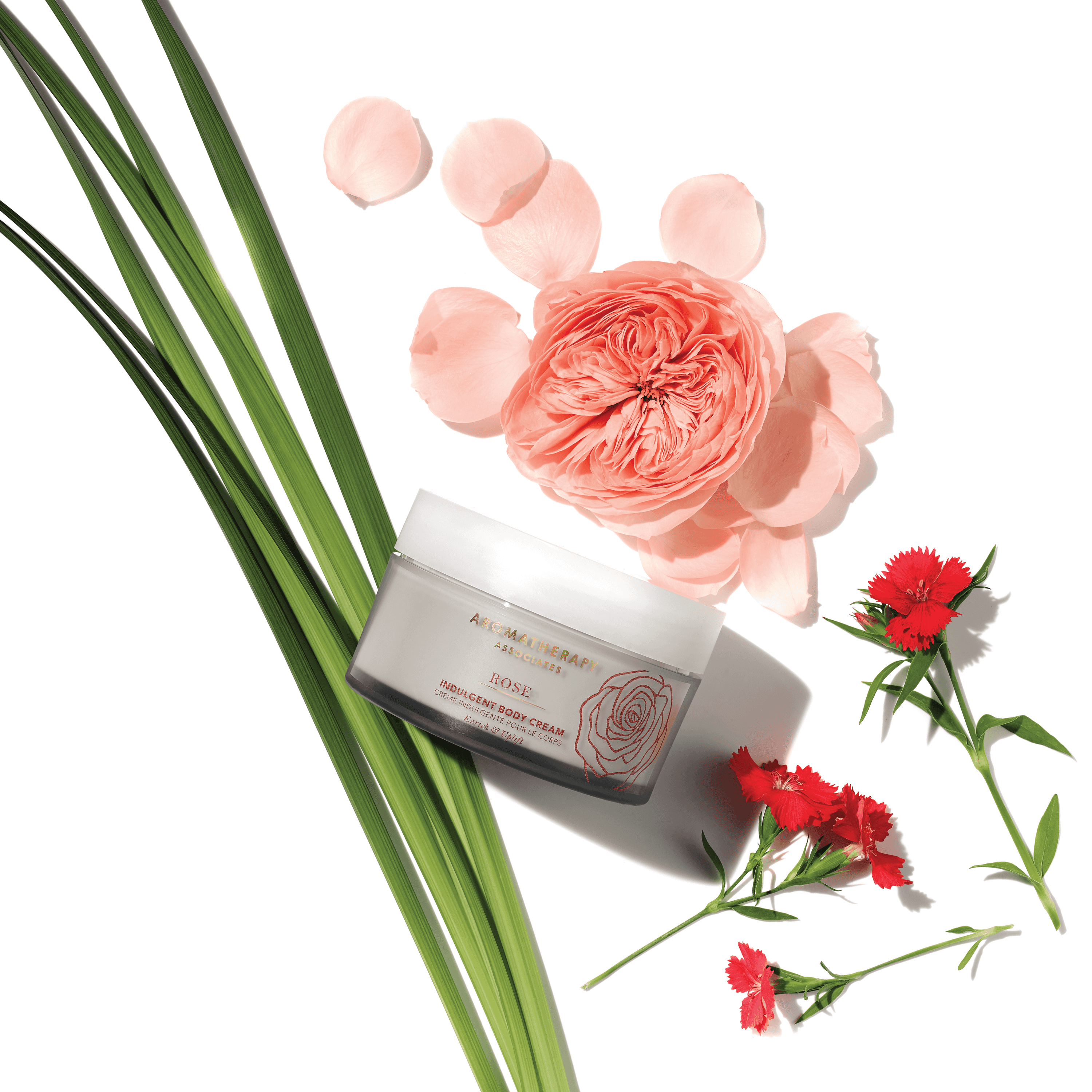 Luxurious Rose Indulgent Body Cream for Dry Skin - Hydrating & Nourishing Moisturizer for Women - Perfect for Daily Use, Spa Nights & Gift Giving