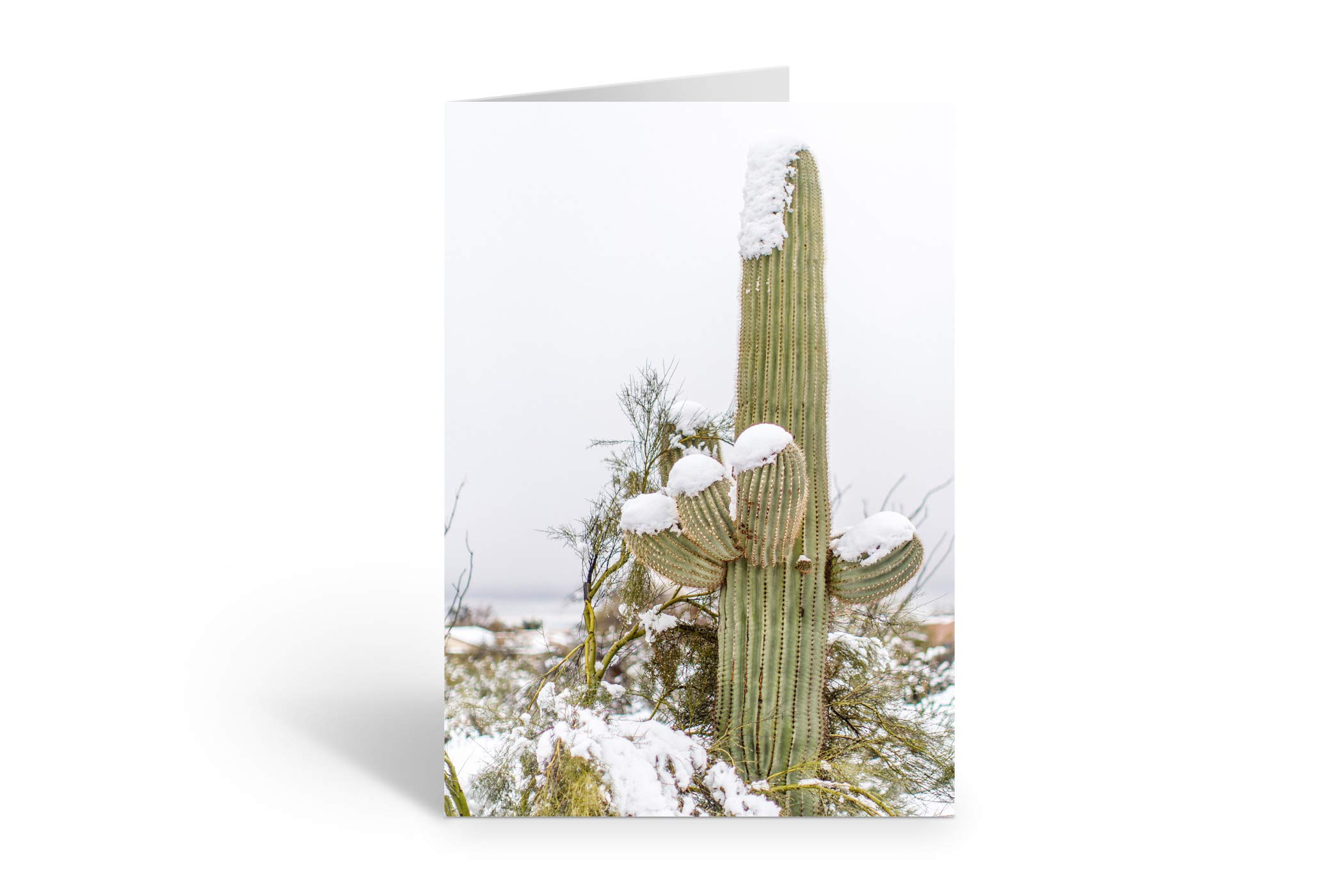 Stonehouse Collection | Snow on Saguaro Cactus Greeting Cards | Winter Desert Note Cards with Envelopes | Perfect for Holiday Greetings, Birthday Wishes & Special Occasions