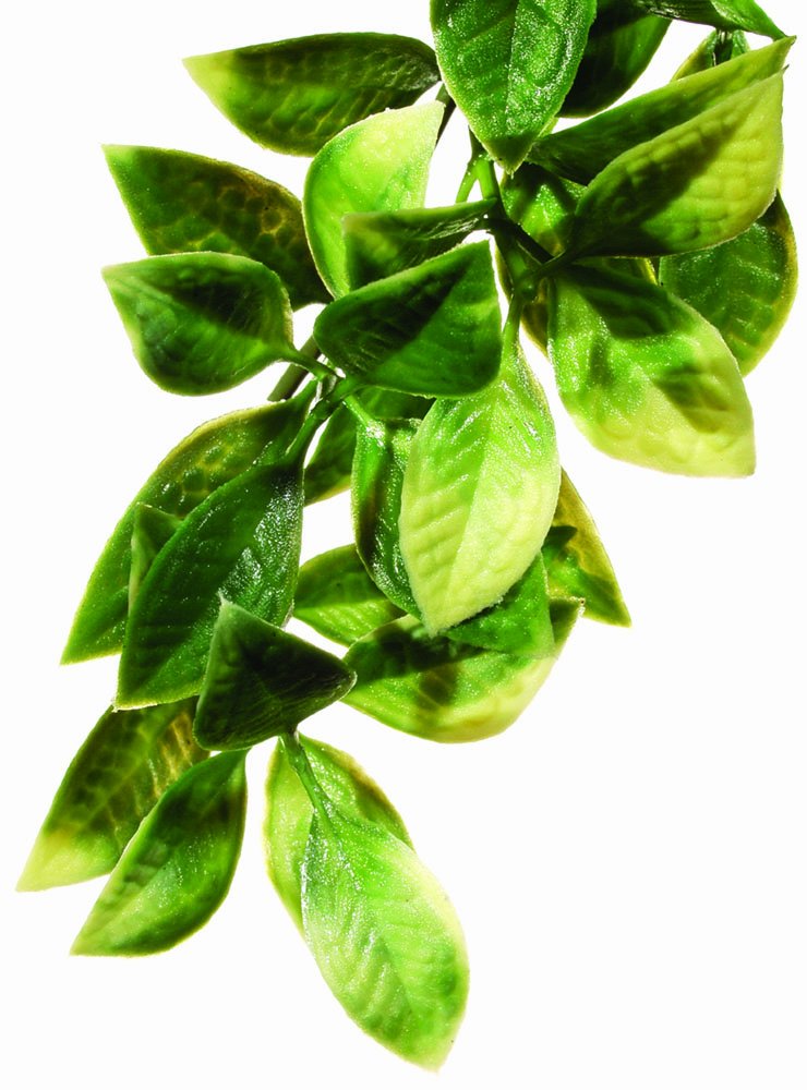 Exo Terra Small Plastic Terrarium Plant - Realistic Mandarin Vine for Reptile & Amphibian Habitats - Perfect for Terrariums, Vivariums & Reptile Enclosures