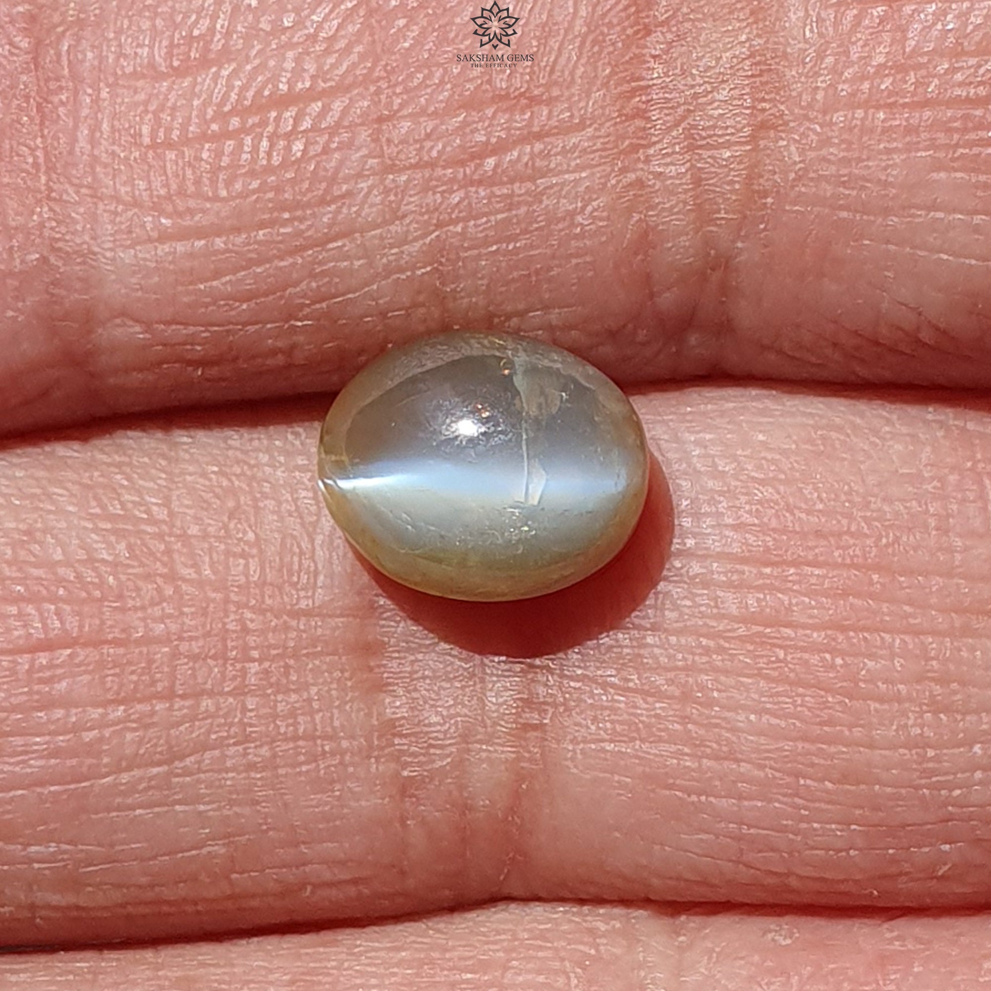Natural Untreated Chrysoberyl Cat's Eye Gemstone Cabochon - Oval Shape for Jewelry Making (Rings, Pendants & Earrings) - Unheated Healing Stone for Energy Balance & Protection
