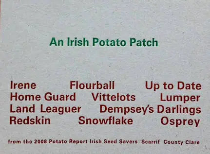 An Irish Potato Patch, Coracle - Traditional Irish Fishing Boat for Outdoor Adventures, River Fishing, and Cultural Exploration
