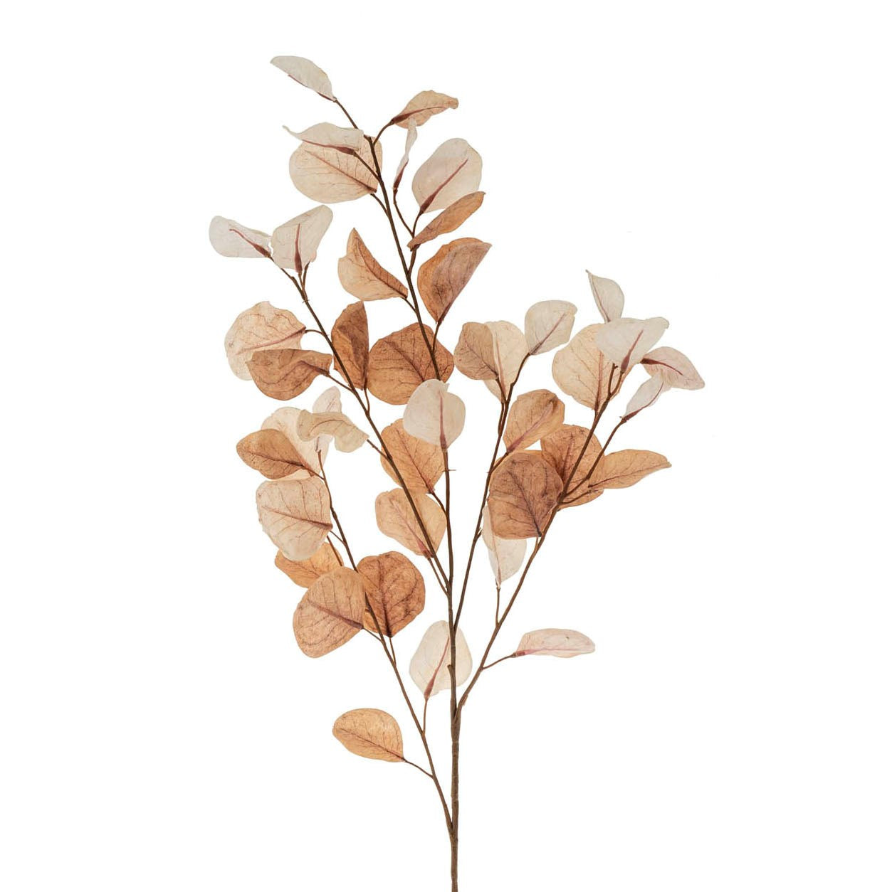 Artificial Eucalyptus Branches for Home Decor - Realistic Greenery Stems for Vase, Wedding, and Farmhouse Decorations