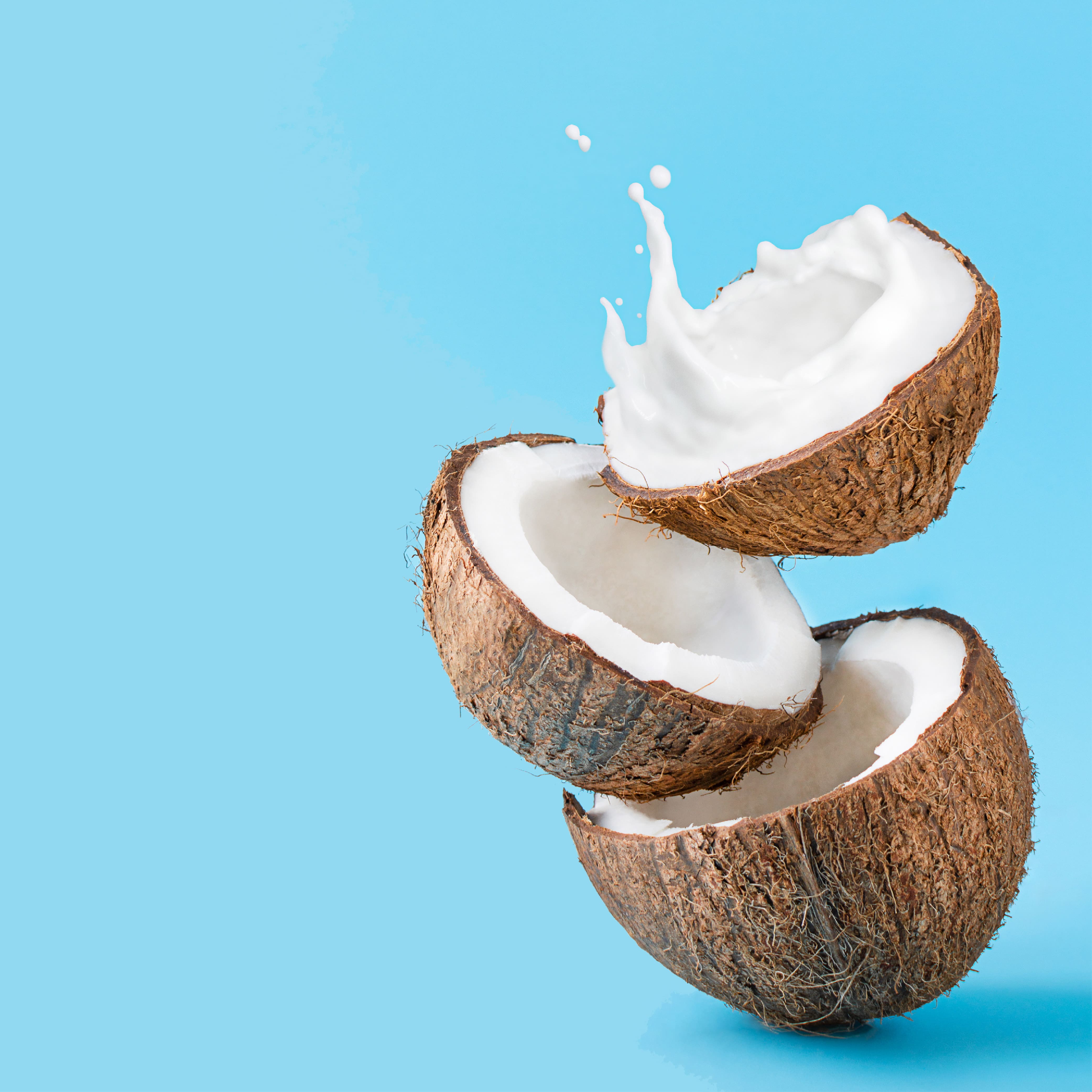 No. 27 Coconut Cream Fragrance Oil for Aromatherapy - Perfect for Home, Office & Spa Relaxation with Cold Air Diffusers