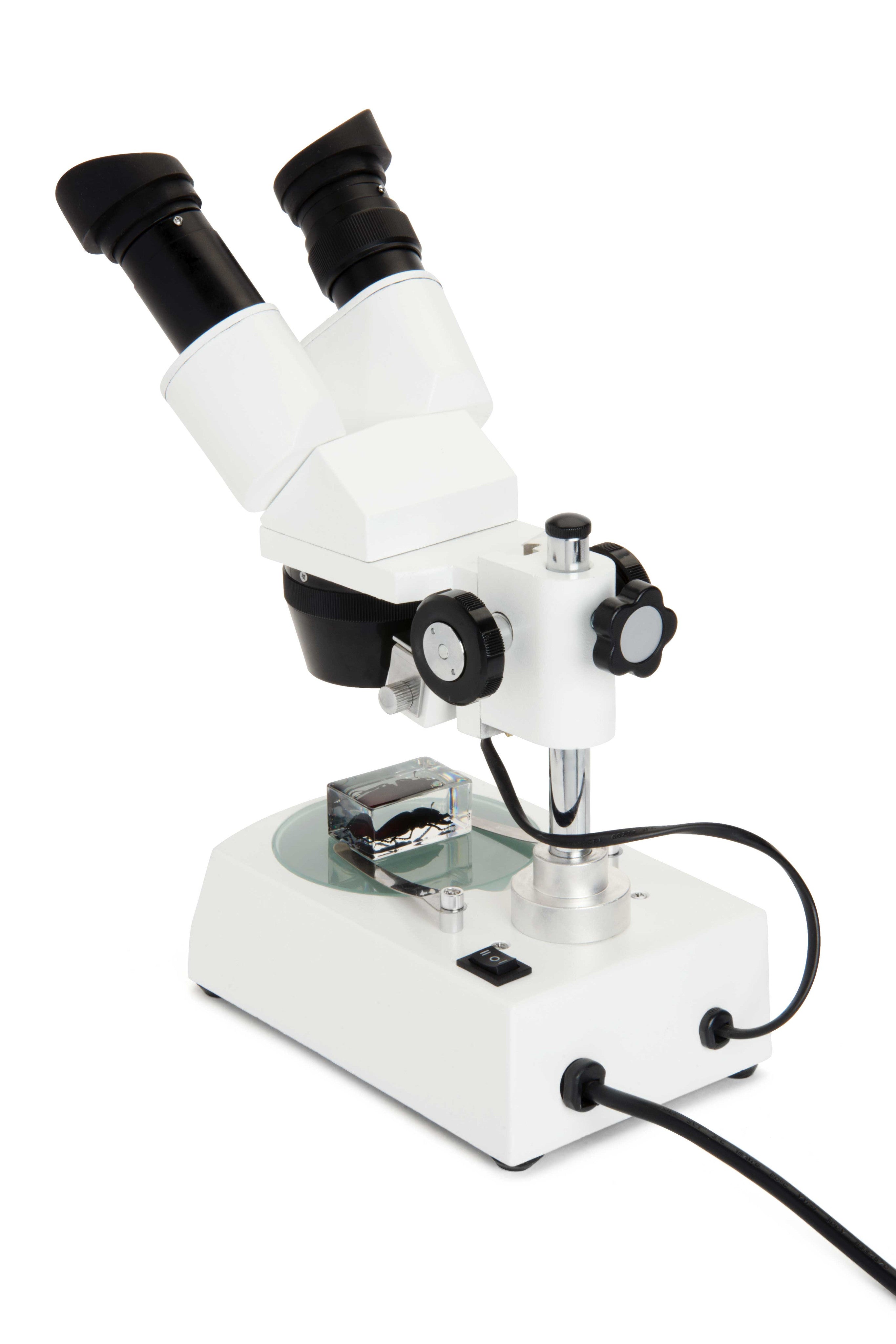 Celestron Labs S10 60 Stereo Microscope - High Power Binocular Microscope for Adults & Kids, Ideal for Coin Collecting, Jewelry Inspection & Science Education