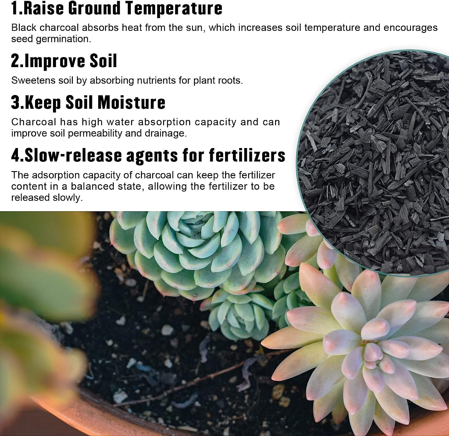 Legigo 2QT Horticultural Charcoal - Premium Hardwood Biochar Soil Amendment for Plants | Activated Charcoal for Terrariums, Indoor Plants, Orchids & Succulents | Improves Drainage & Soil Aeration for Healthier Plants