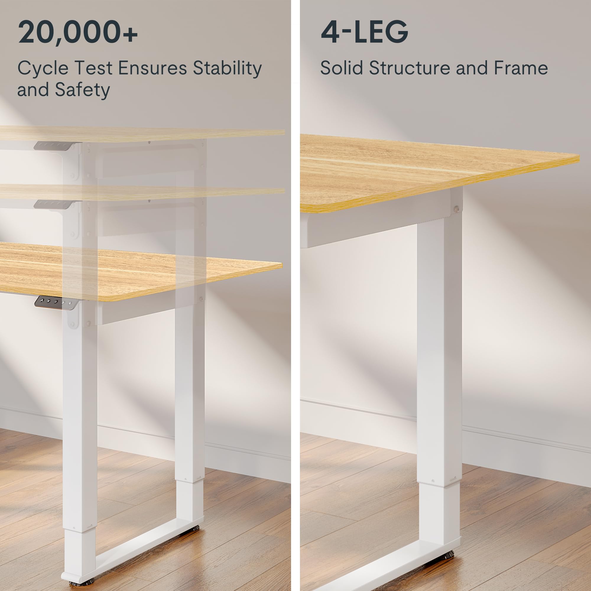 Flexispot Dual Motor Electric Standing Desk 55