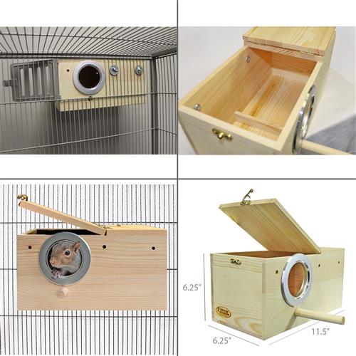 Premium Squirrel Starter Kit - Nutritious Food & Feeding Supplies for Wild Squirrels | Perfect for Backyard Wildlife Feeding & Nature Lovers