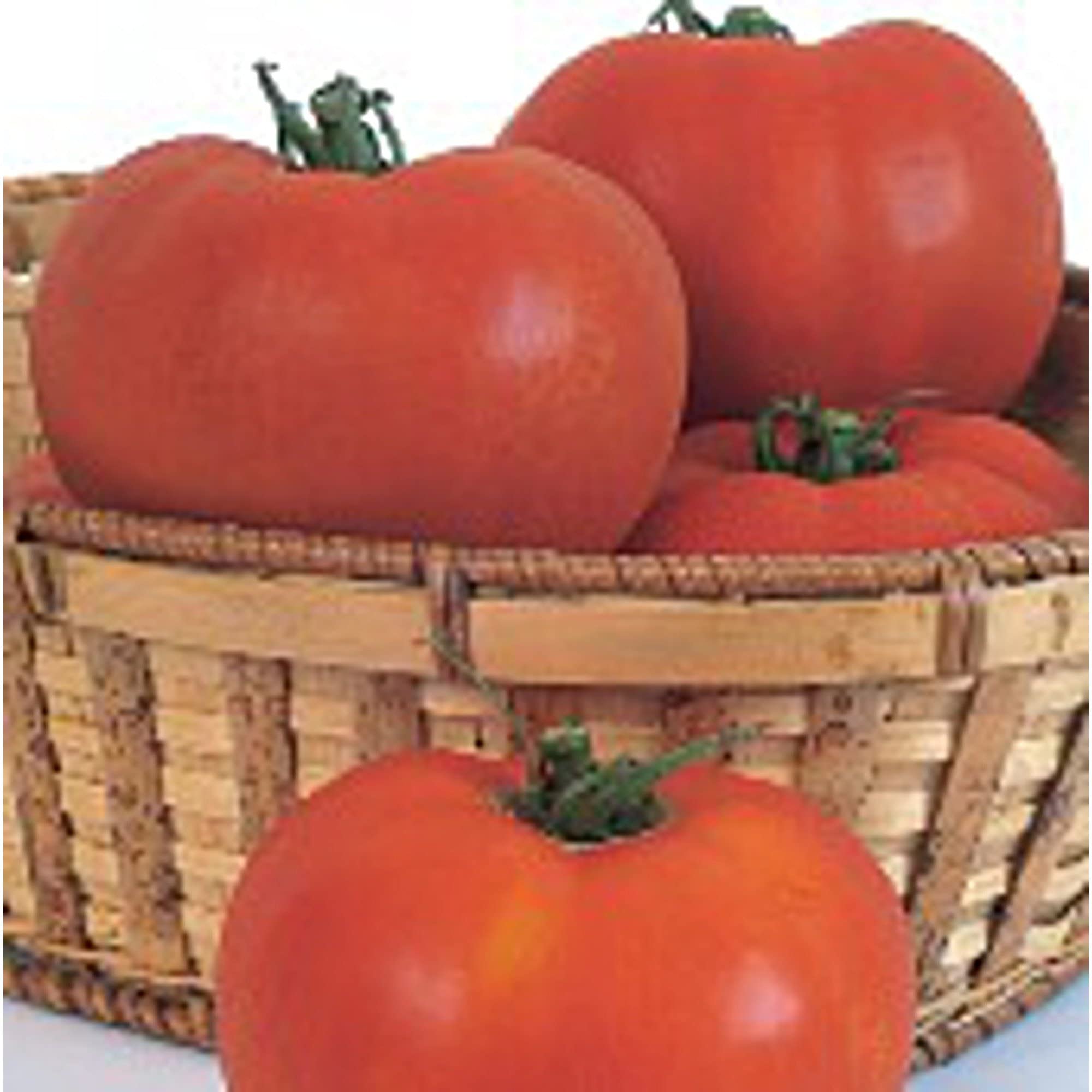 Organic Celebrity Tomato Seeds (20+ Seeds) - Non-GMO Heirloom Vegetable Seeds for Planting | Home Garden, Greenhouse, Raised Bed & Container Gardening | Perfect for Fresh Salads, Sauces & Canning