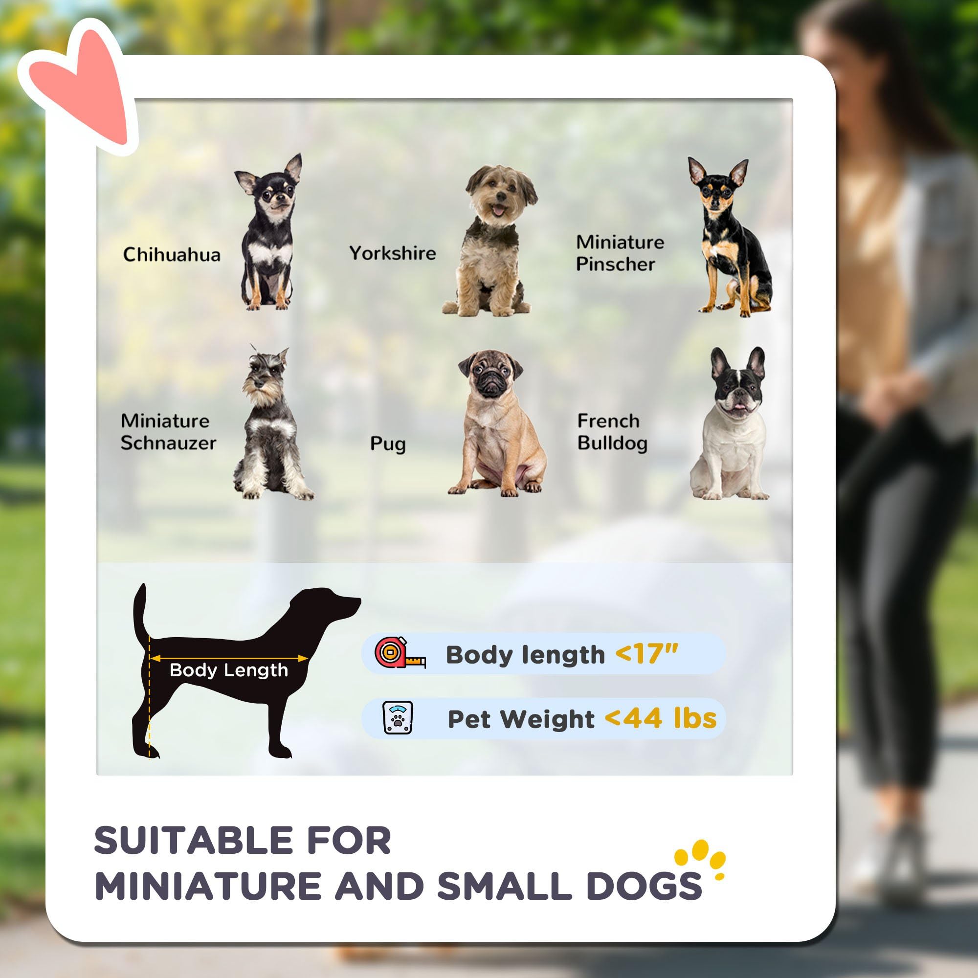PawHut Foldable Pet Stroller for Small & Medium Dogs & Cats - 3 Large Wheels Jogger with Adjustable Canopy, Safety Tether, Cushion & Storage Basket - Gray | Perfect for Walking, Jogging & Outdoor Adventures with Your Pet