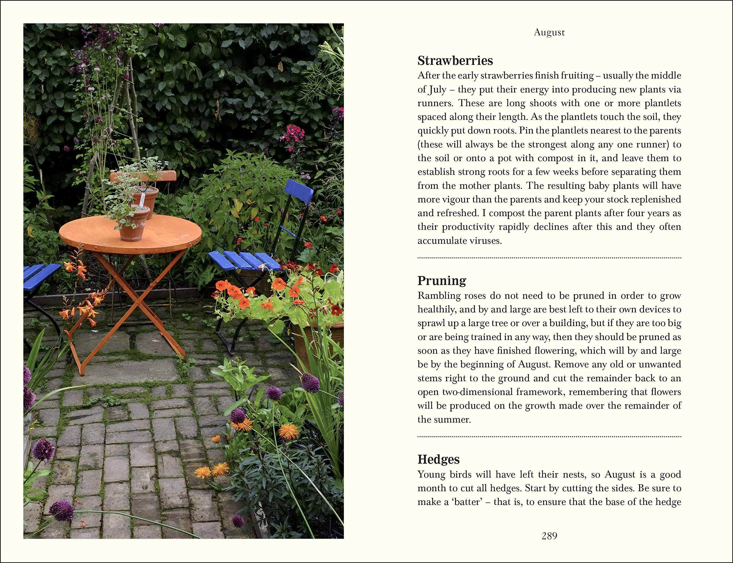 Down to Earth: Organic Gardening Tips & Wisdom for Home Gardeners | Grow Fresh Vegetables, Herbs & Flowers Easily