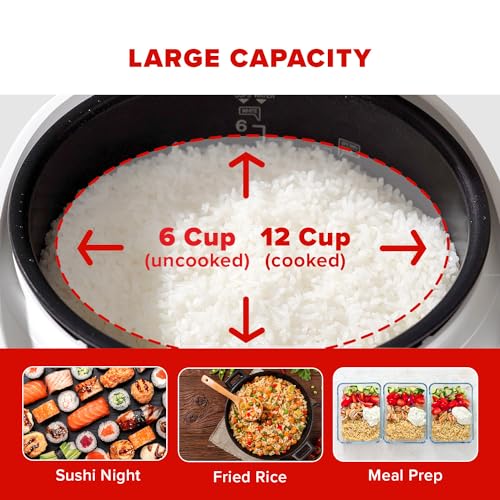 Premium 6-Cup Micom Rice Cooker (CR-0641F) - Smart Fuzzy Logic Technology for Perfect Rice Every Time | Ideal for Small Families, Dorms & Office Use