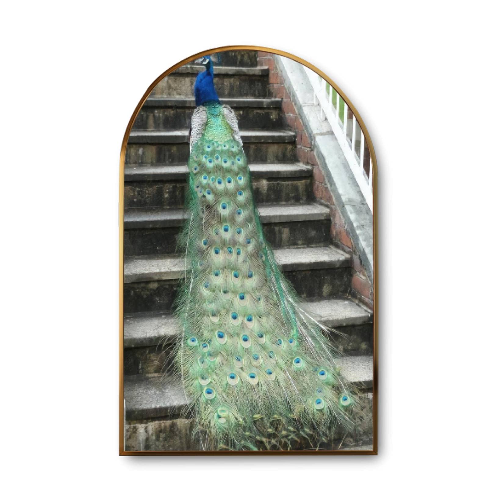 Golden Framed Peacock Canvas Wall Art - Modern Giclee Print of Arch Peacock Walking Up Stone Staircase with Feathered Train - Ready to Hang Home Decor Painting for Living Room, Bedroom & Office