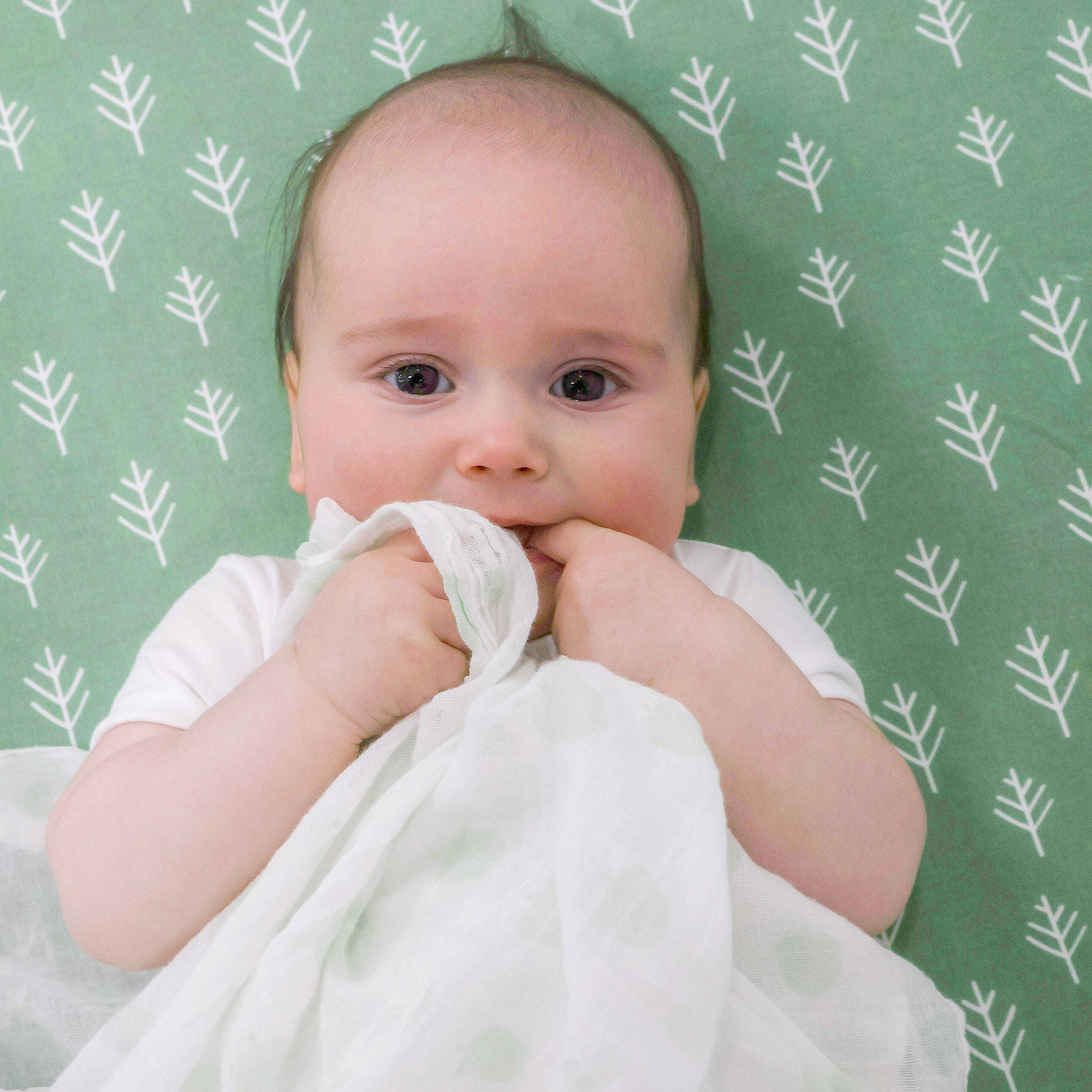3-Pack Soft Nordic Muslin Baby Swaddle Wraps - Avocado & Forest Green - Breathable & Lightweight for Newborns, Infants - Perfect for Swaddling, Nursing, Stroller & Car Seat Covers