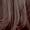 Deep Chestnut