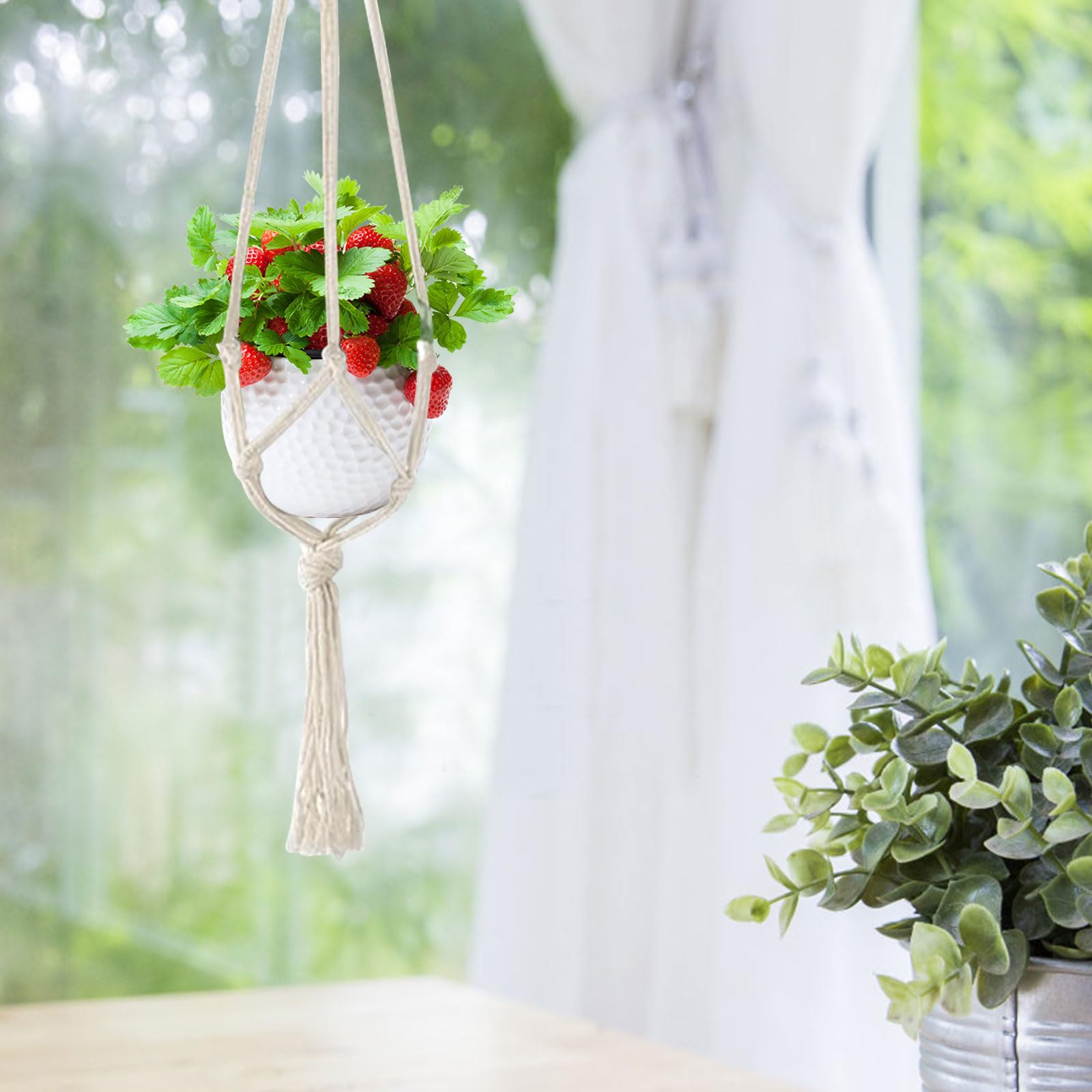 5 PCS Macrame Plant Hangers - 100% Handmade Cotton Rope Hanging Baskets with 10 Hooks for Indoor & Outdoor Plants | Boho Home Decor for Living Room, Bedroom, Balcony & Garden