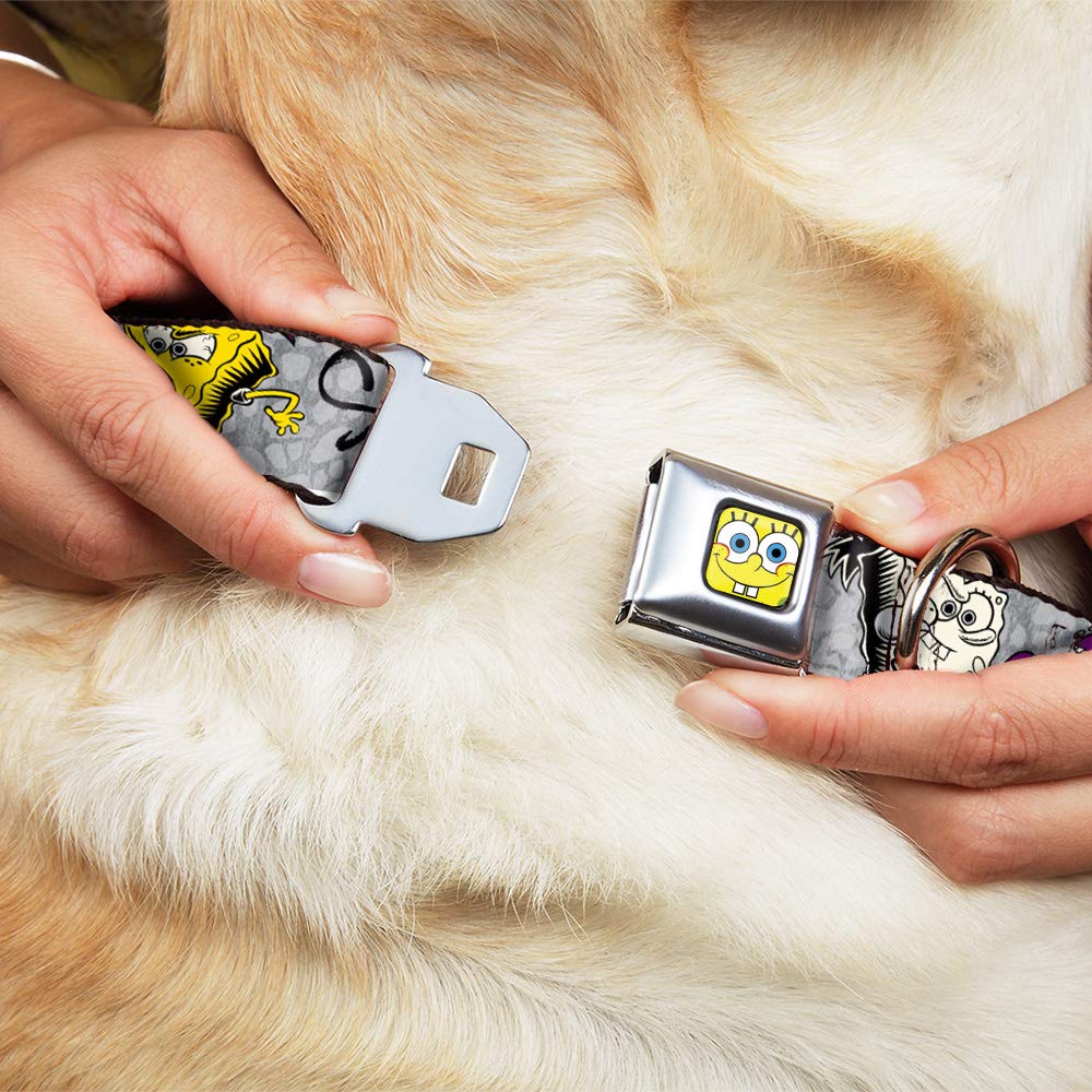 **SpongeBob Dog Collar with Seatbelt Buckle - 3 Fun Poses, 1.5