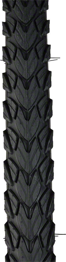2 Pack Schwalbe Marathon Plus Tour Bike Tires 700x40 Clincher - Performance Line 11150405 - Puncture Resistant for Road & Touring Bikes - Perfect for Commuting & Long Distance Cycling