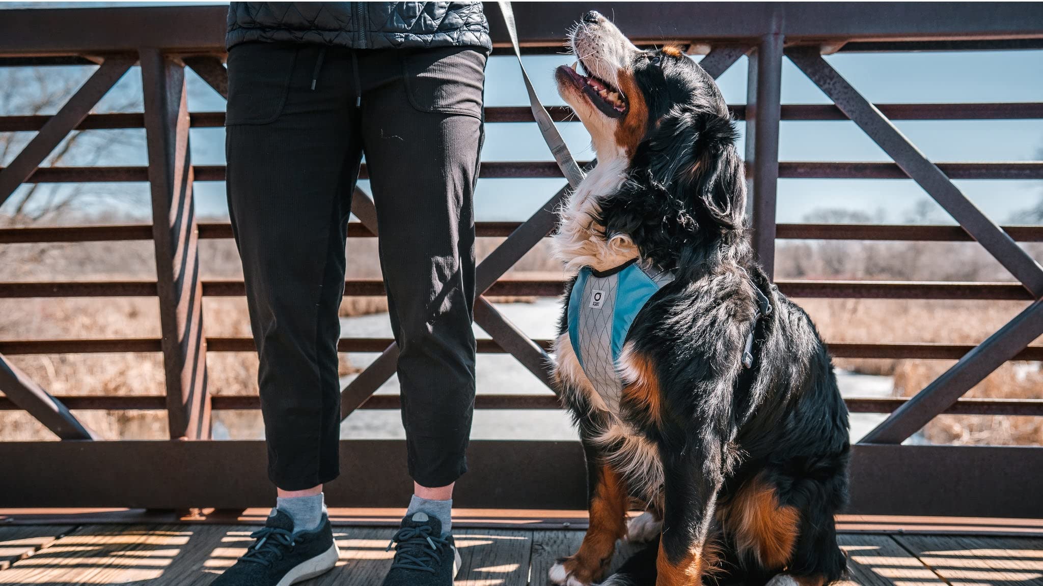 Go Dog Glo Reflective Dog Harness - Medium Size, Grey - Perfect for Night Walks, Jogging & Outdoor Adventures