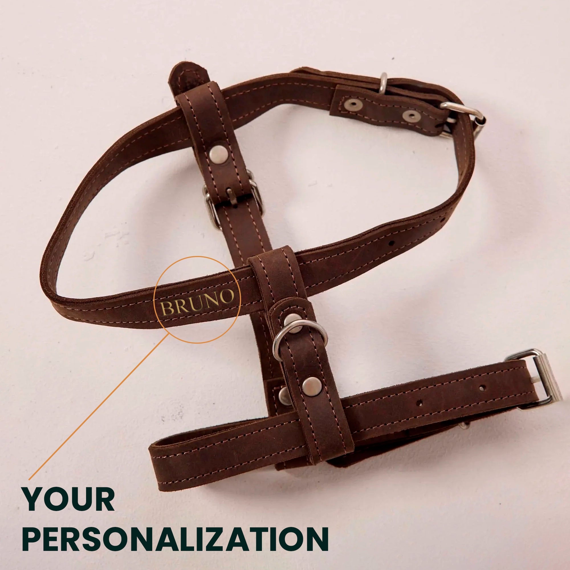 Premium No-Pull Dog Harness with Adjustable Leash - Reflective & Padded for Small Medium Large Dogs - Perfect for Walking, Running, Hiking & Outdoor Adventures