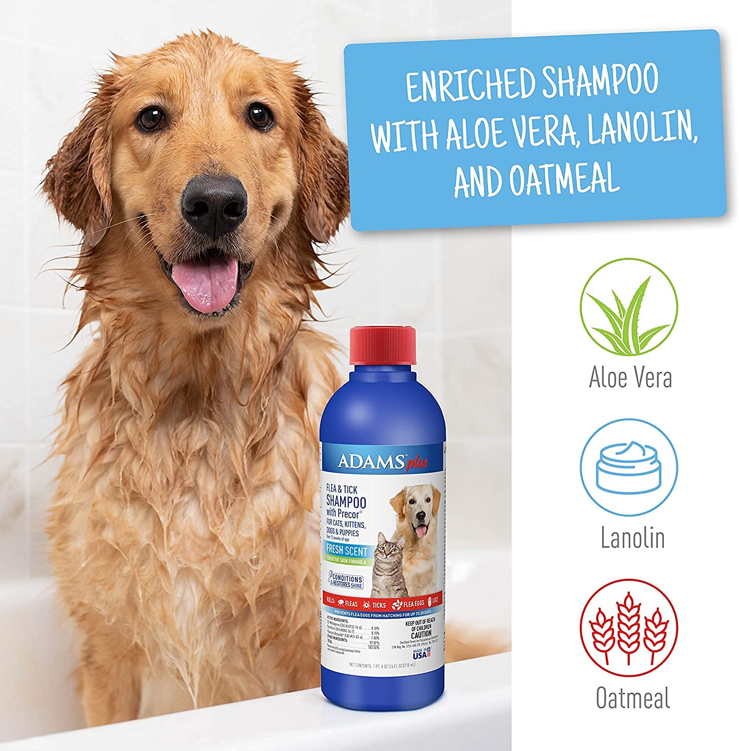 Premium Dog Collar & Shampoo Bundle for Pets - Comfortable Adjustable Collar with Matching Grooming Shampoo for Dogs & Puppies - Perfect for Bath Time, Training & Daily Walks
