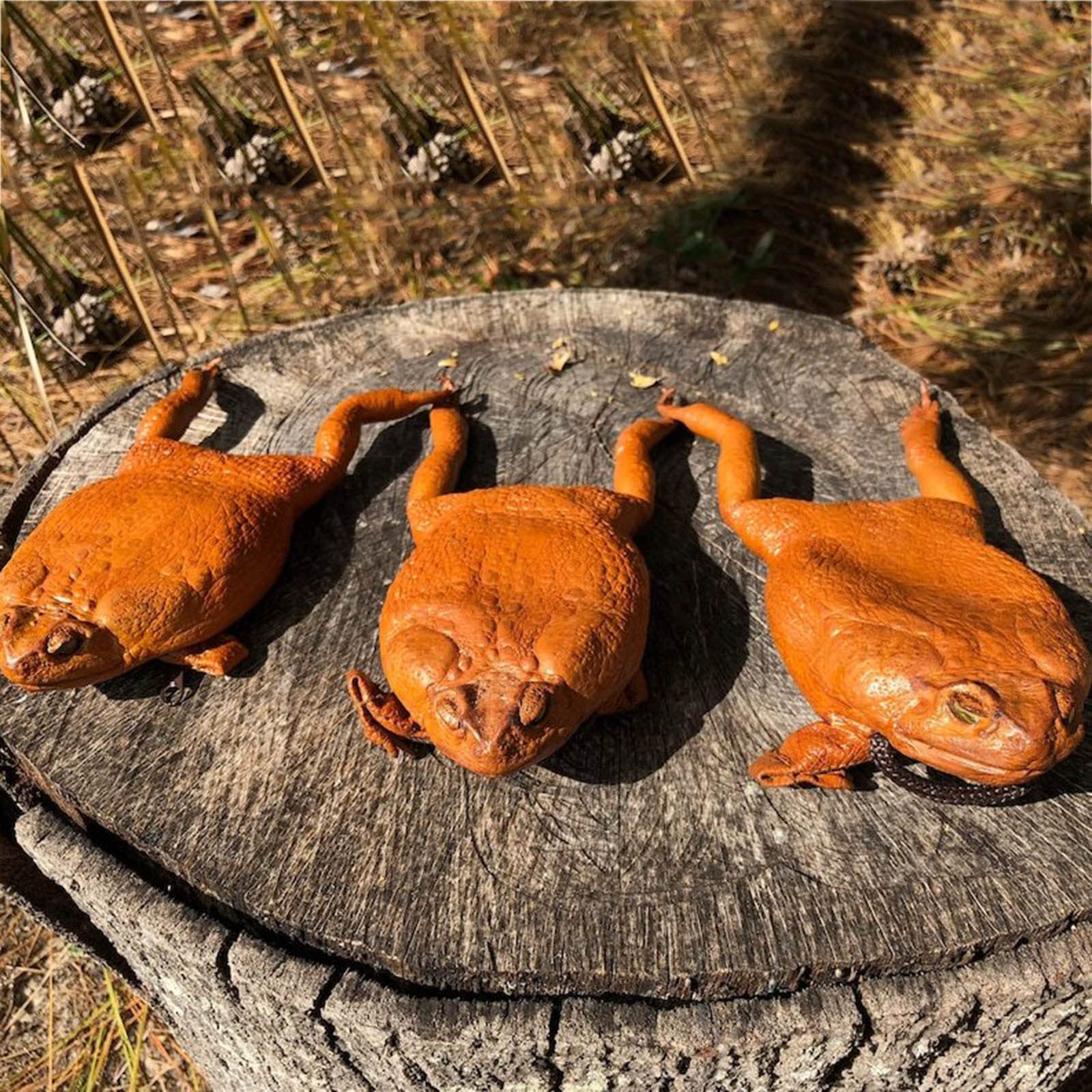 Funny Sugar Cane Toad Full-Body Purse - Frog Coin Wallet & Home Decor - Unique Gift for Animal Lovers - Perfect for Halloween, Cosplay & Novelty Storage (One Size)