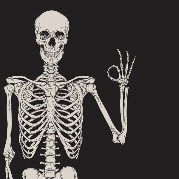 Left Skeleton