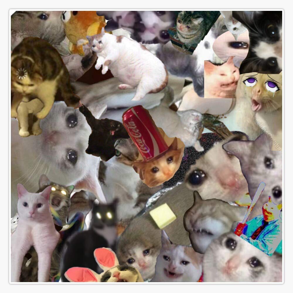 Cursed Crying Cats Vinyl Stickers - Waterproof 5