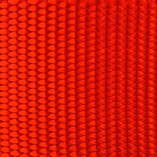 Hot Orange