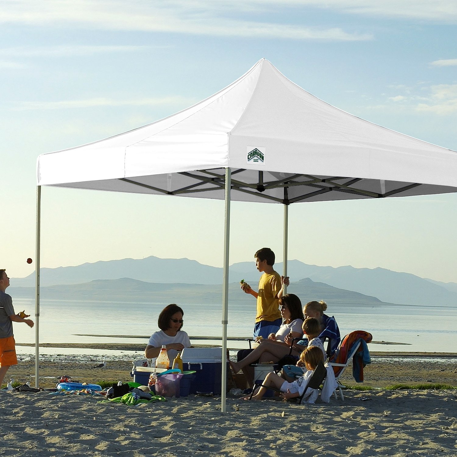 Caravan Canopy DisplayShade 10x10 Pop-Up Canopy – Heavy-Duty Commercial Canopy Tent with Fire-Resistant Fabric & Full Truss Frame | 99% UV Protection, Adjustable Height | Includes Roller Bag & Stakes | Perfect for Outdoor Events, Farmers Markets, Trade Shows & Backyard Parties