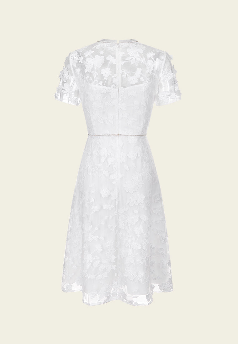 Floral Appliqué Beaded Detail Embroidered Mesh Party Dress for Women - Perfect for Evening Events, Weddings & Special Occasions
