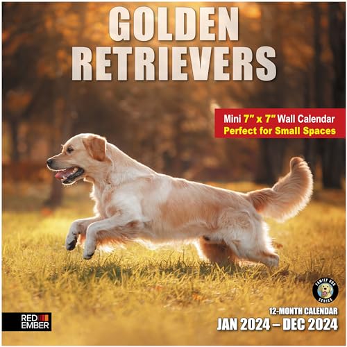 04A - Golden Retrievers