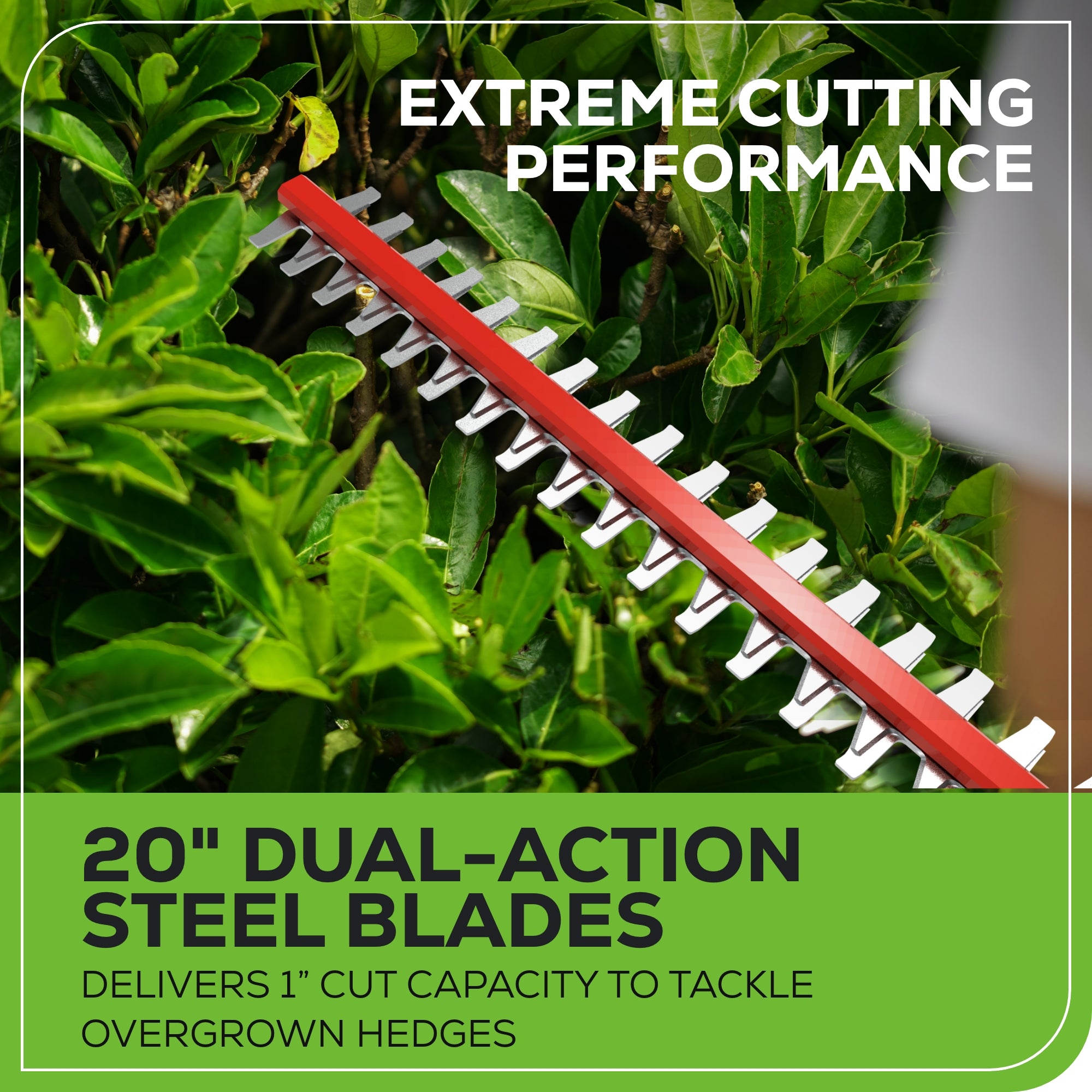 40V Cordless Pole Saw with Hedge Trimmer Attachment - 8-Inch Cutting Bar, Lightweight & Powerful - Perfect for Tree Trimming, Landscaping, and Yard Maintenance (Tool Only)