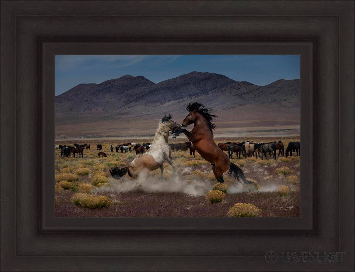 Desert Duel 5 by Greg Sargent - Western Action Novel - Perfect for Book Clubs & Cowboy Adventure Fans