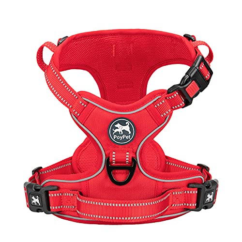 Red(Matching Trim)