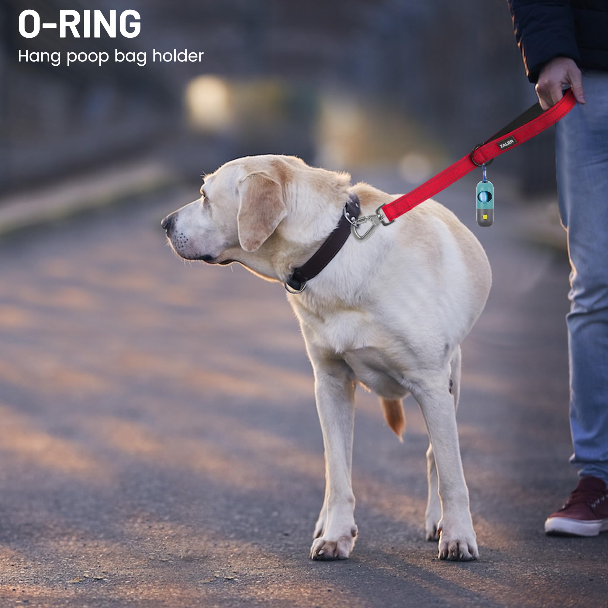 ZALER 2 ft Reflective Nylon Dog Leash with Padded Handle & Carabiner Clip - Heavy Duty 24 Inch Pet Lead for Large & Medium Dogs - Perfect for Walking, Running & Nighttime Safety (Red)