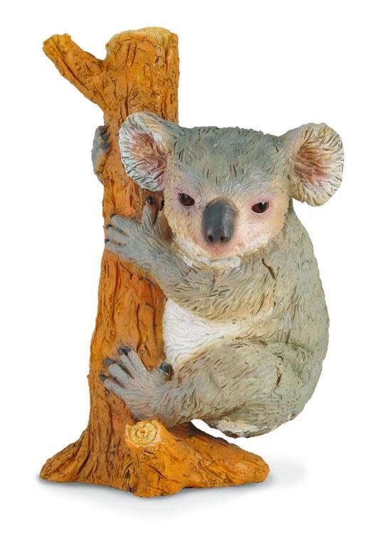 CollectA Medium Koala Climbing Marsupial Figurine - Realistic Animal Toy for Kids, Educational Gift for Wildlife Lovers, Perfect for Playtime, Classroom & Nature-Themed Decor
