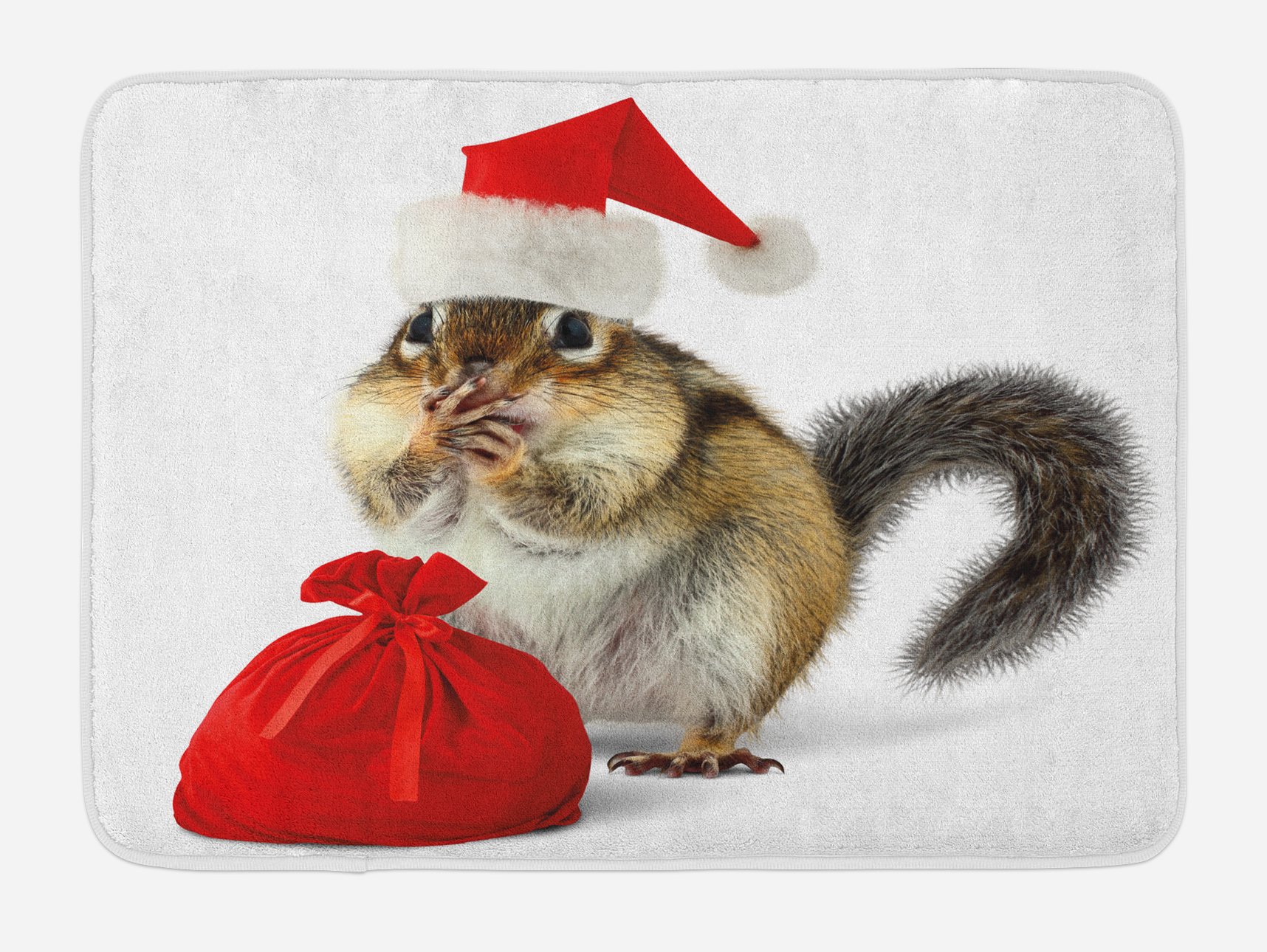 Ambesonne Christmas Bath Mat - Plush Non-Slip Squirrel Santa Hat Holiday Bathroom Rug 30x20 Inch - Cozy Xmas Decor for Winter Home, Gifts & Festive Bathroom Accents