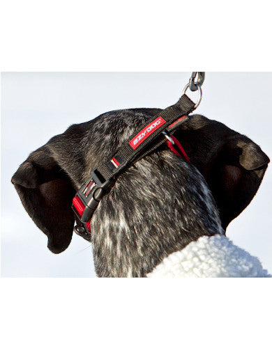 EzyDog Checkmate Camouflage Dog Collar - Adjustable & Durable (4 Sizes) for Medium to Large Dogs - Perfect for Hiking, Camping & Outdoor Adventures