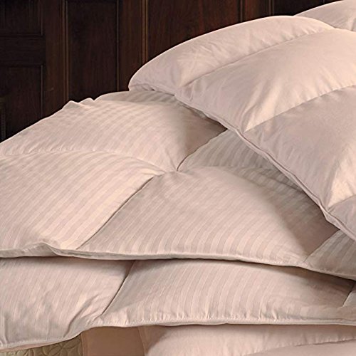 Premium 650 Thread Count Egyptian Cotton Comforter - 1pc Box Stitched Design with 100 GSM Microfiber Fill - Queen/Olympic Queen Size (86