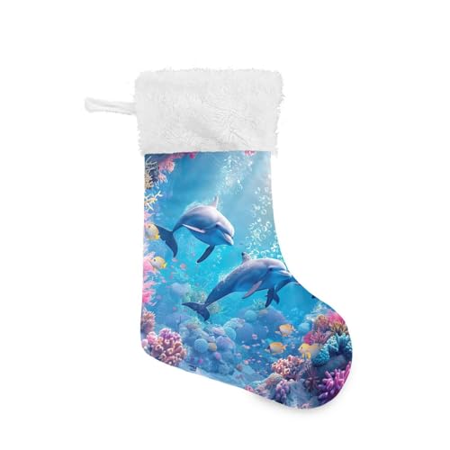 Ocean Dolphins