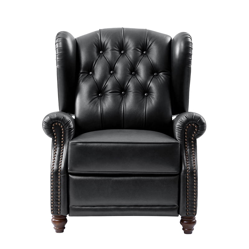 Karelie Genuine Leather Electric Recliner Chair - Power Lift Reclining Sofa with Massage & Heat for Living Room, Home Theater, and Office Relaxation