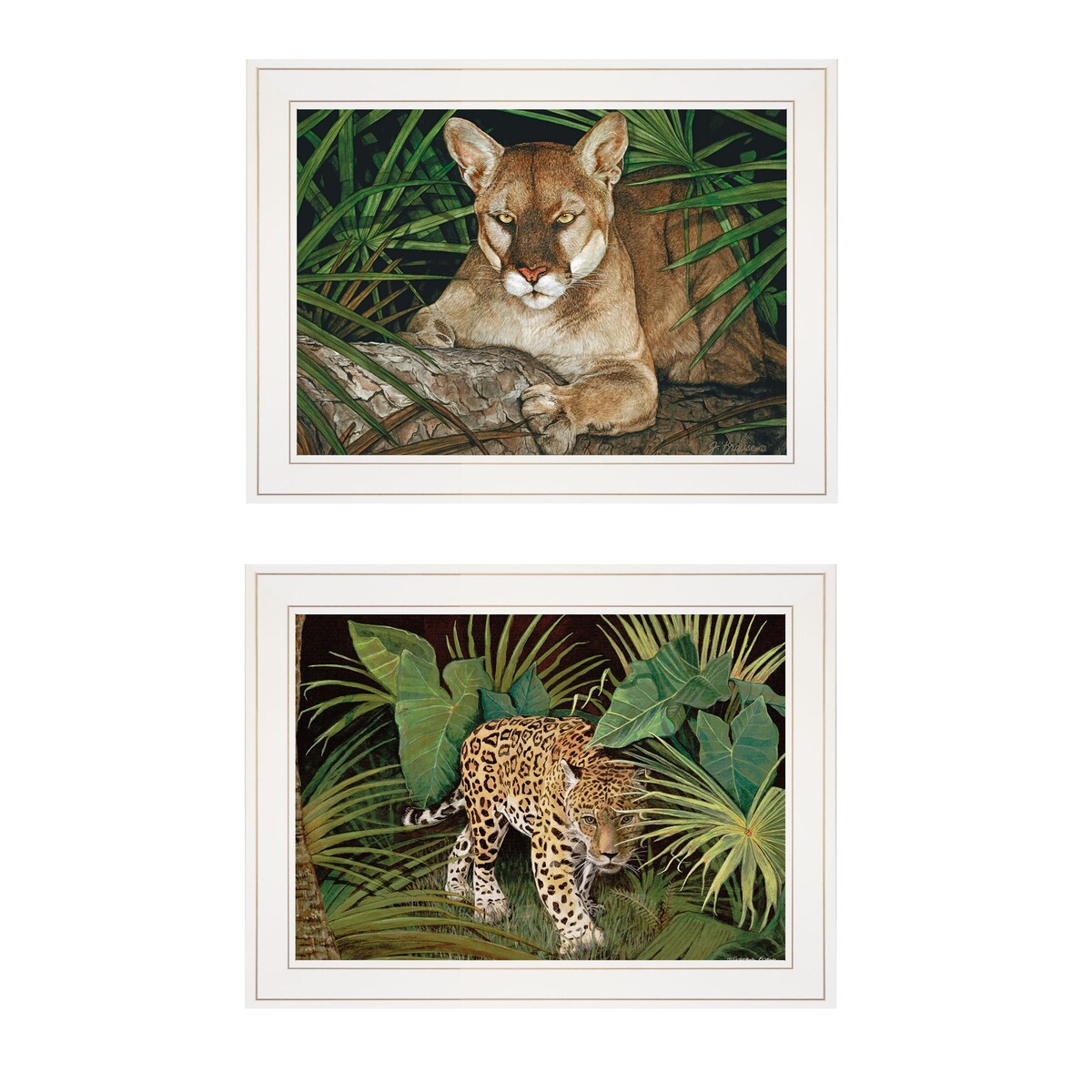 Big Cats 2-Piece Vignette Wall Art by Jacquee Krause - White Framed Wildlife Decor for Living Room, Bedroom & Office