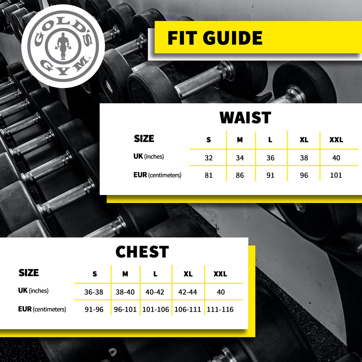 Gold's Gym Men's Muscle Joe Premium Stringer Vest - Workout Tank Top for Bodybuilding & Gym Training - Comfortable Athletic Wear for Weightlifting & Fitness