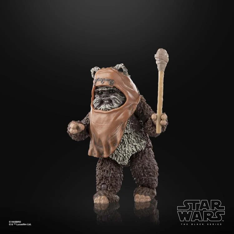 Star Wars The Black Series Wicket W. Warrick Action Figure - Return of the Jedi 6-Inch Collectible Toy for Fans & Display