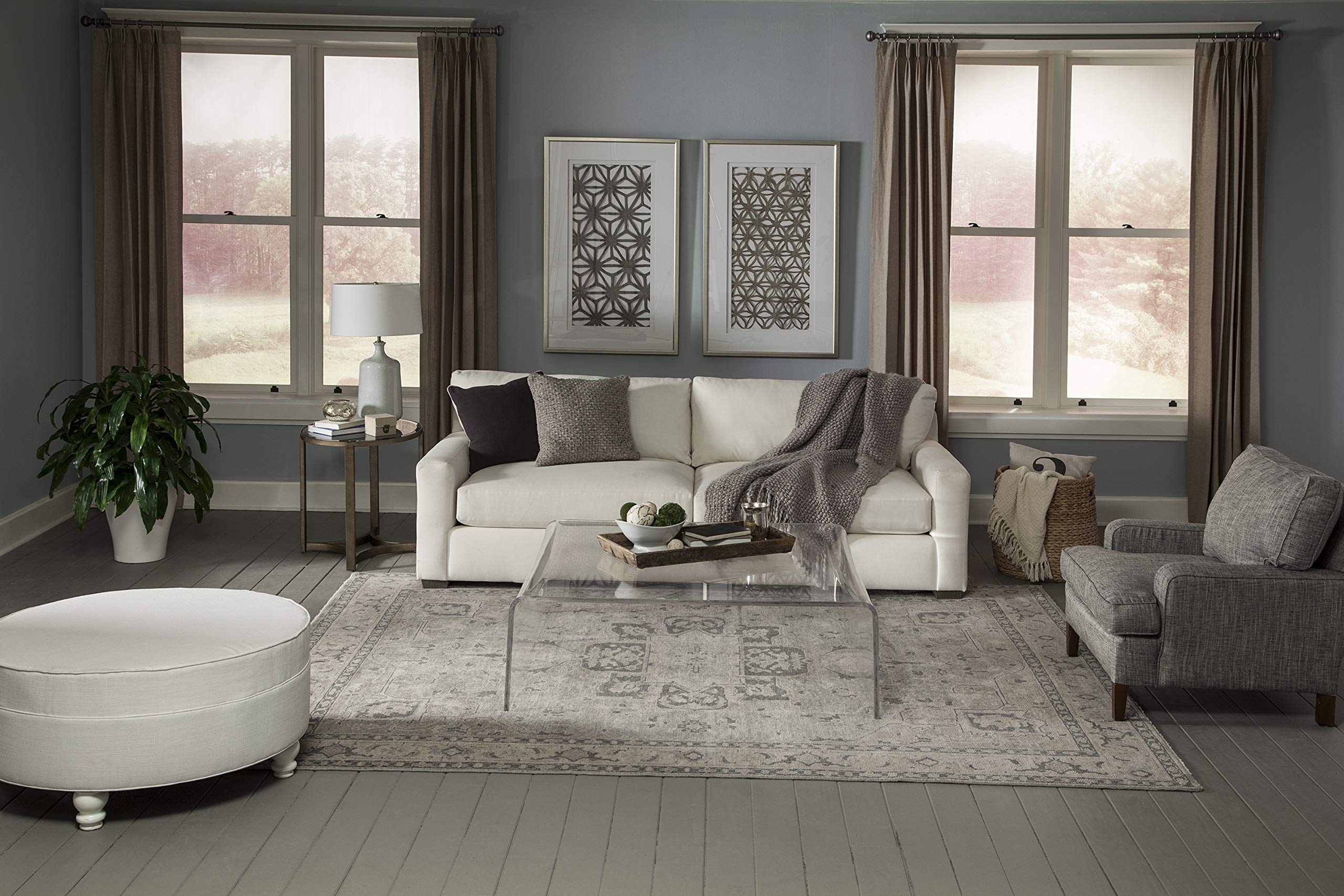 Momeni Banaras Area Rug 5'6