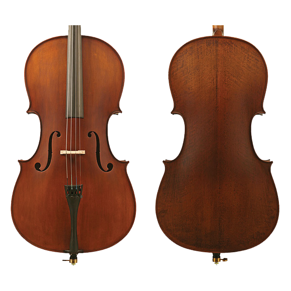 Enrico Student Plus II Full Size Cello Outfit - Professionally Set Up for Beginners & Students | Perfect for School Orchestras & Home Practice