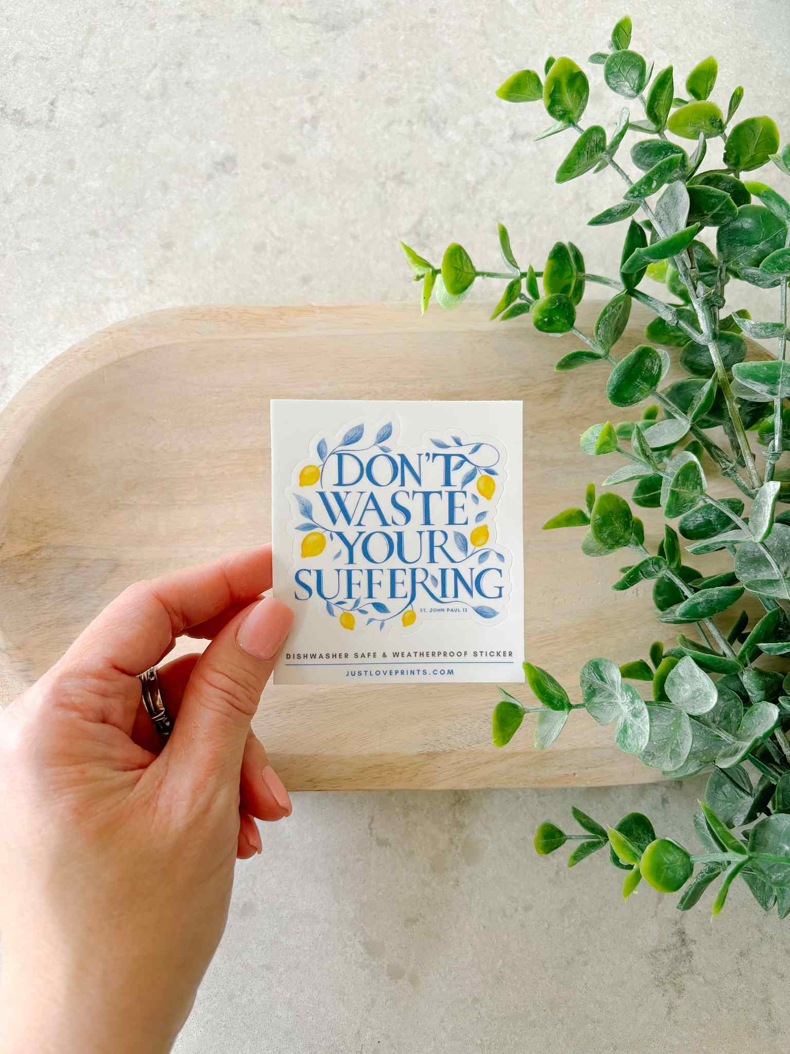Don't Waste Your Suffering Motivational Sticker - Inspirational Quote Decal for Laptops, Journals & Water Bottles - Perfect for Self-Improvement & Daily Encouragement