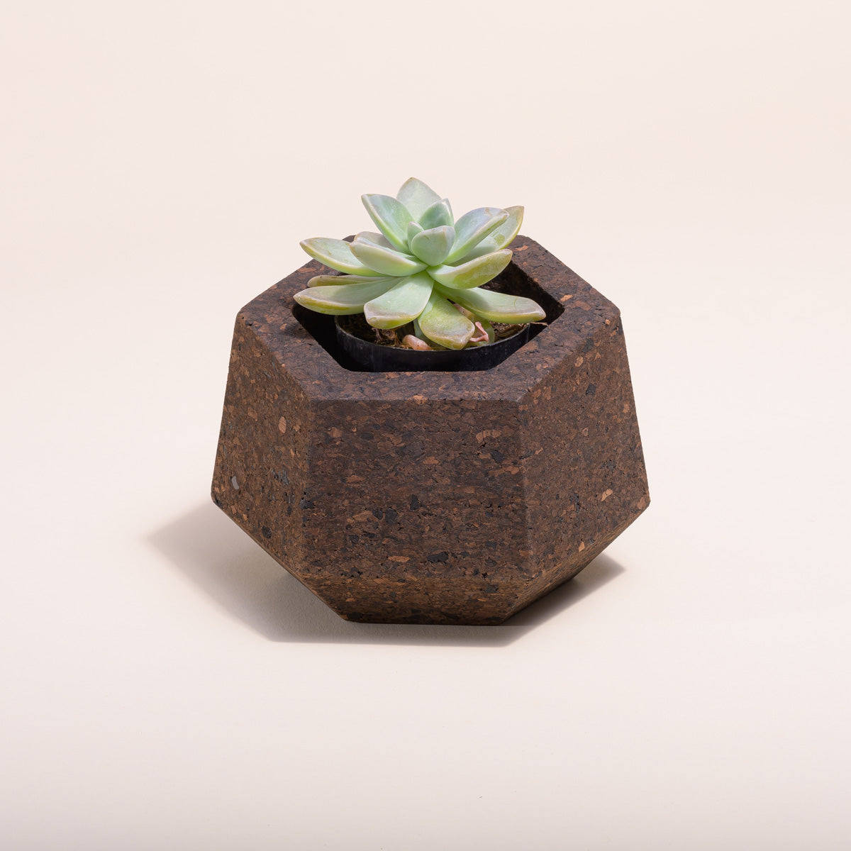 Eco-Friendly Upcycled Cork Vase - Handmade Sustainable Home Decor for Modern Living Rooms, Wedding Centerpieces & Boho Chic Interiors