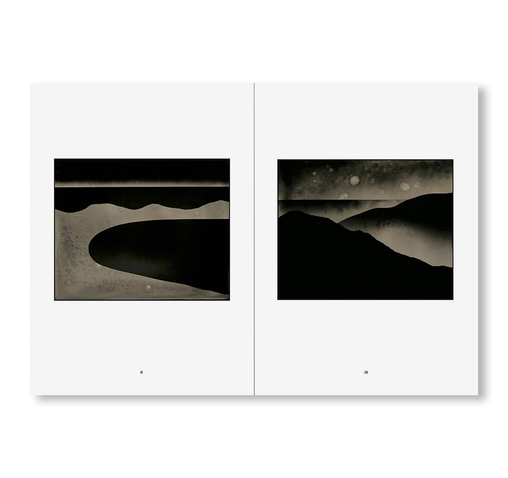 ONE PICTURE BOOK TWO #33: ELEMENTAL FORMS by Nadezda Nikolova - Abstract Art Photography Book for Home Decor & Creative Inspiration